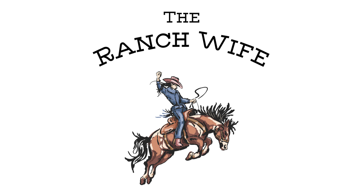 Open Range Sun Shield – The Ranch Wife